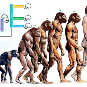 Evolusi Menurut Darwin: Perjalanan Teori yang Merubah Pandangan Dunia