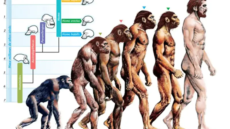 Evolusi Menurut Darwin: Perjalanan Teori yang Merubah Pandangan Dunia